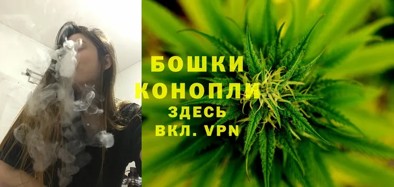 даркнет сайт  Ногинск  Каннабис OG Kush 